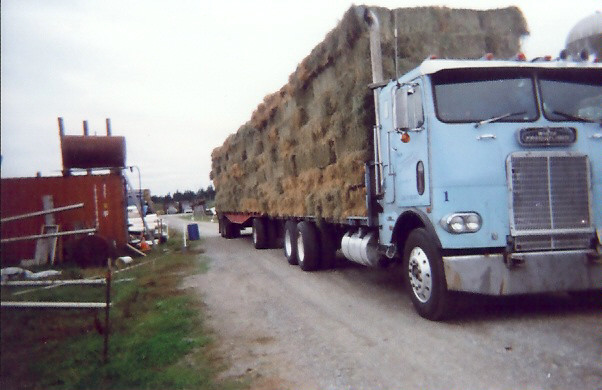 Leitz Farms Supply Origins