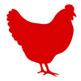 Chicken Icon