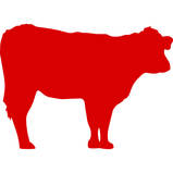 Cattle Icon