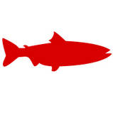 Fish Icon