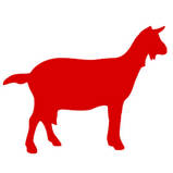 Grain Icon