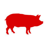 Swine Icon