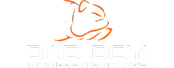 Bad Boy logo