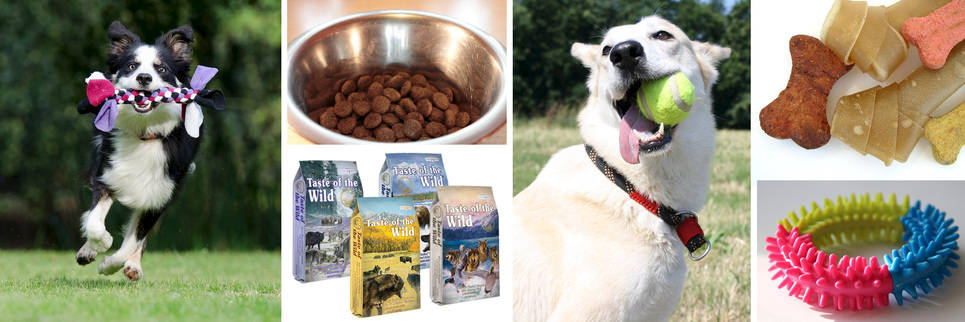 Dogs at Leitz Farm