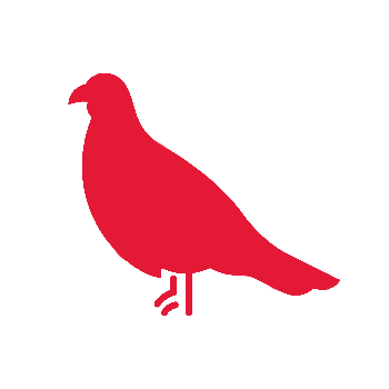 game bird Icon
