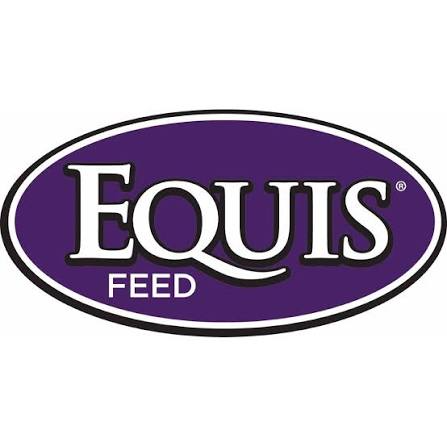 Equis Logo