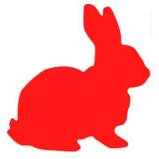 Rabbit Icon