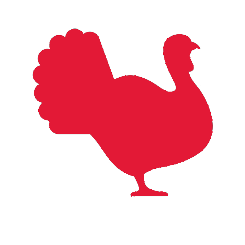 Turkey Icon