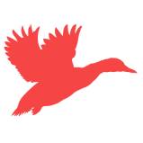 waterfowl Icon
